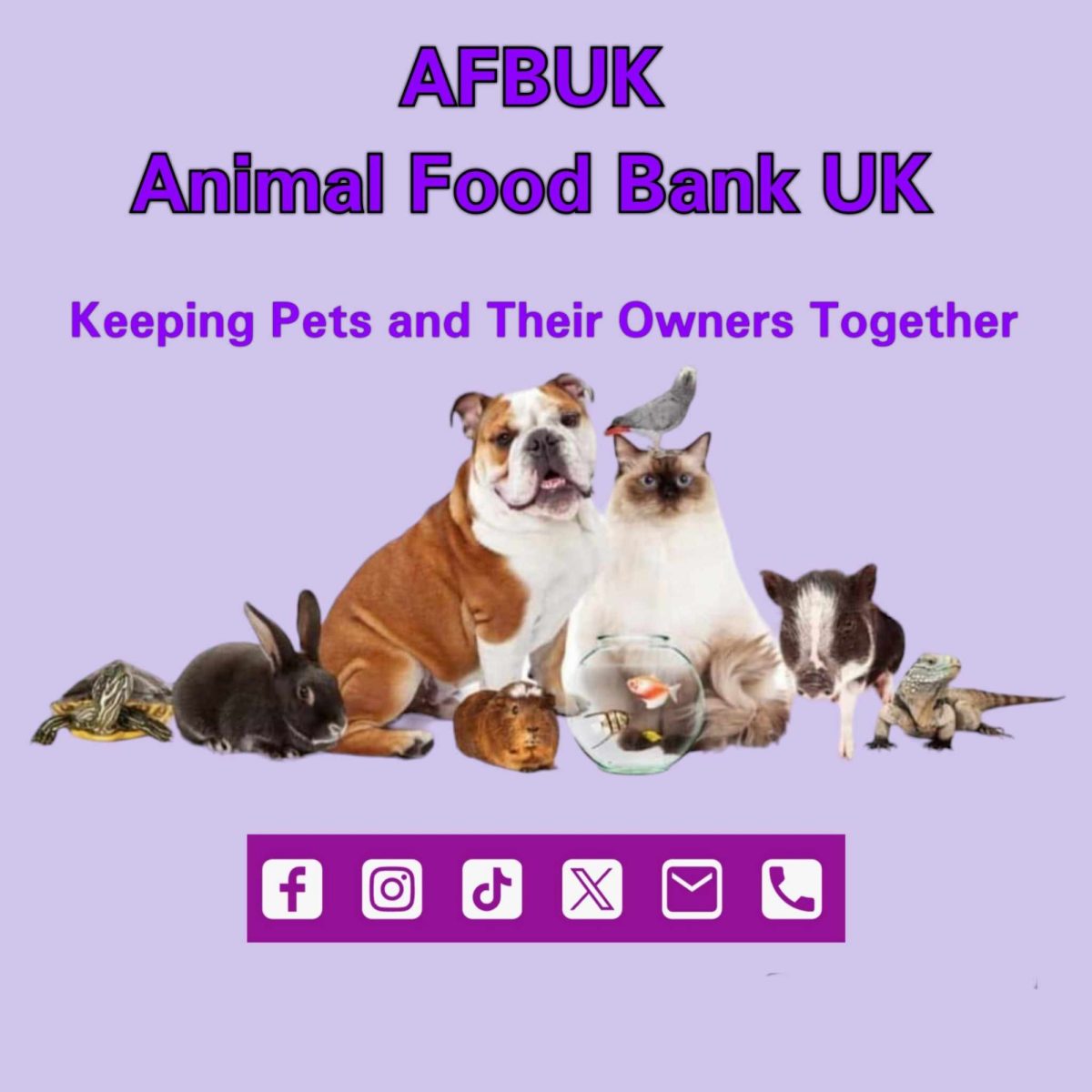 animal-foodbank-uk-pet-food-bank